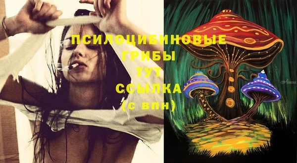 молекула духа Алексин