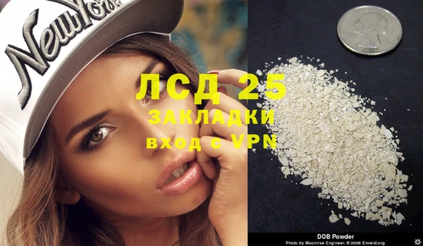 прущий лед Алзамай