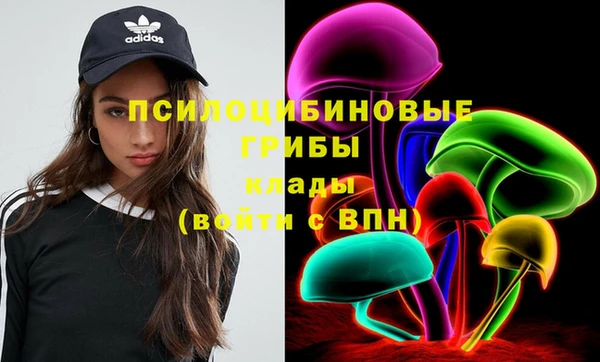 прущая мука Армянск