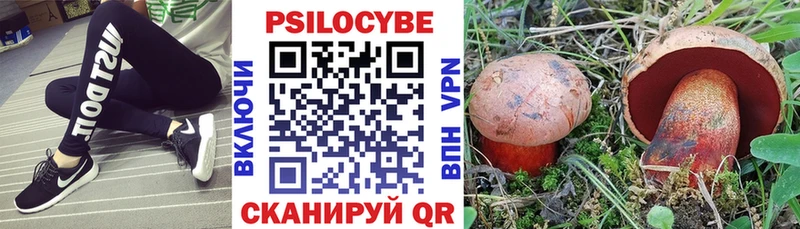 Галлюциногенные грибы MAGIC MUSHROOMS  Тайшет 