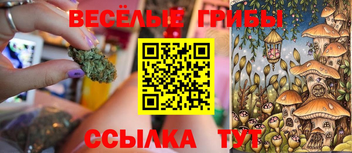 Псилоцибиновые грибы Magic Shrooms Тайшет