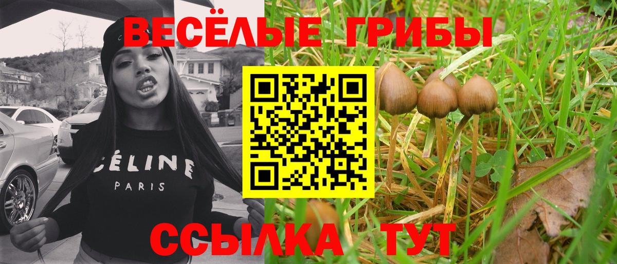 Псилоцибиновые грибы мицелий  Вход с VPN  Тайшет 